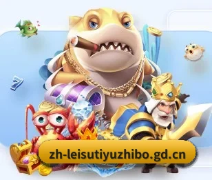 雷速体育围绕看球场景设计的核心服务 | leisu